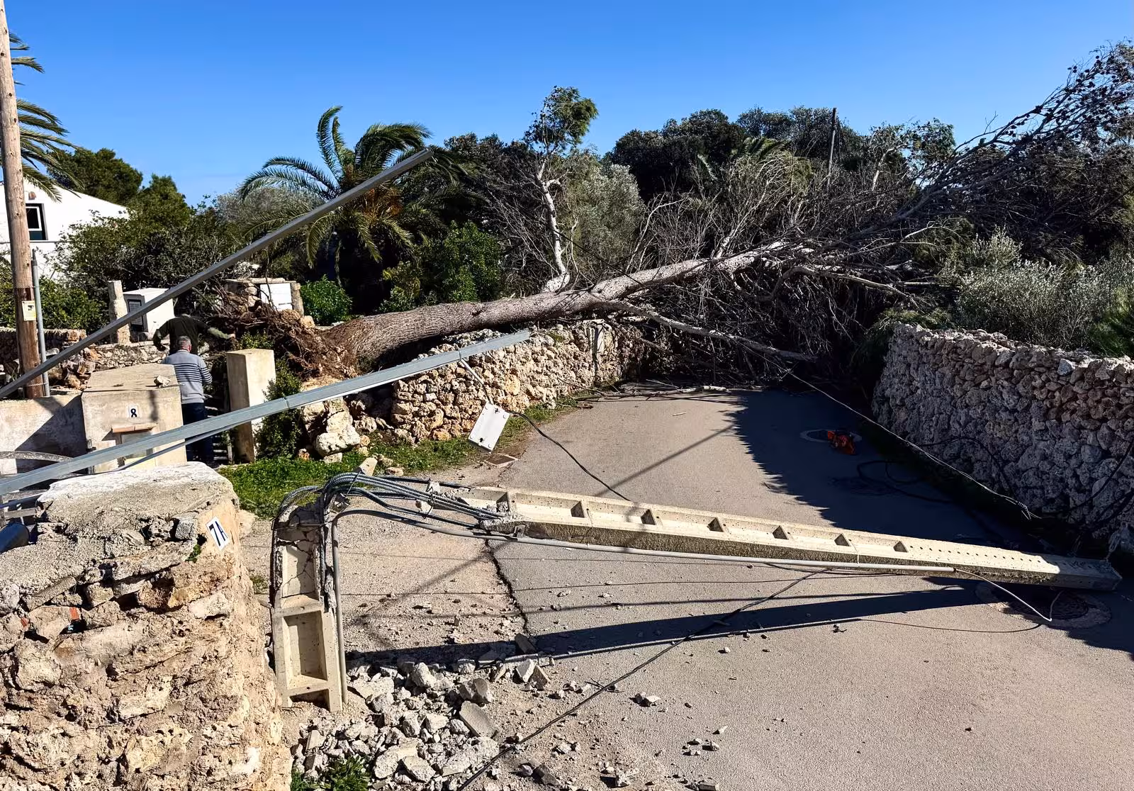 (Fotos) El viento derriba un árbol y un poste eléctrico en el Camí de Baix