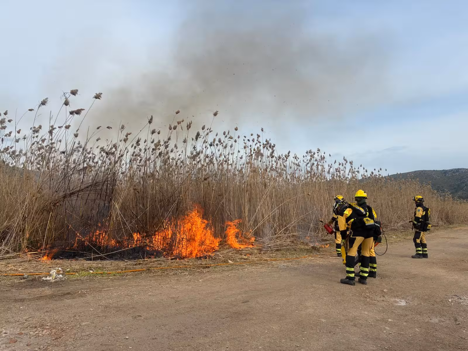 Récord en la prevención de incendios forestales: el Govern gestionó 267 hectáreas en Menorca durante 2025