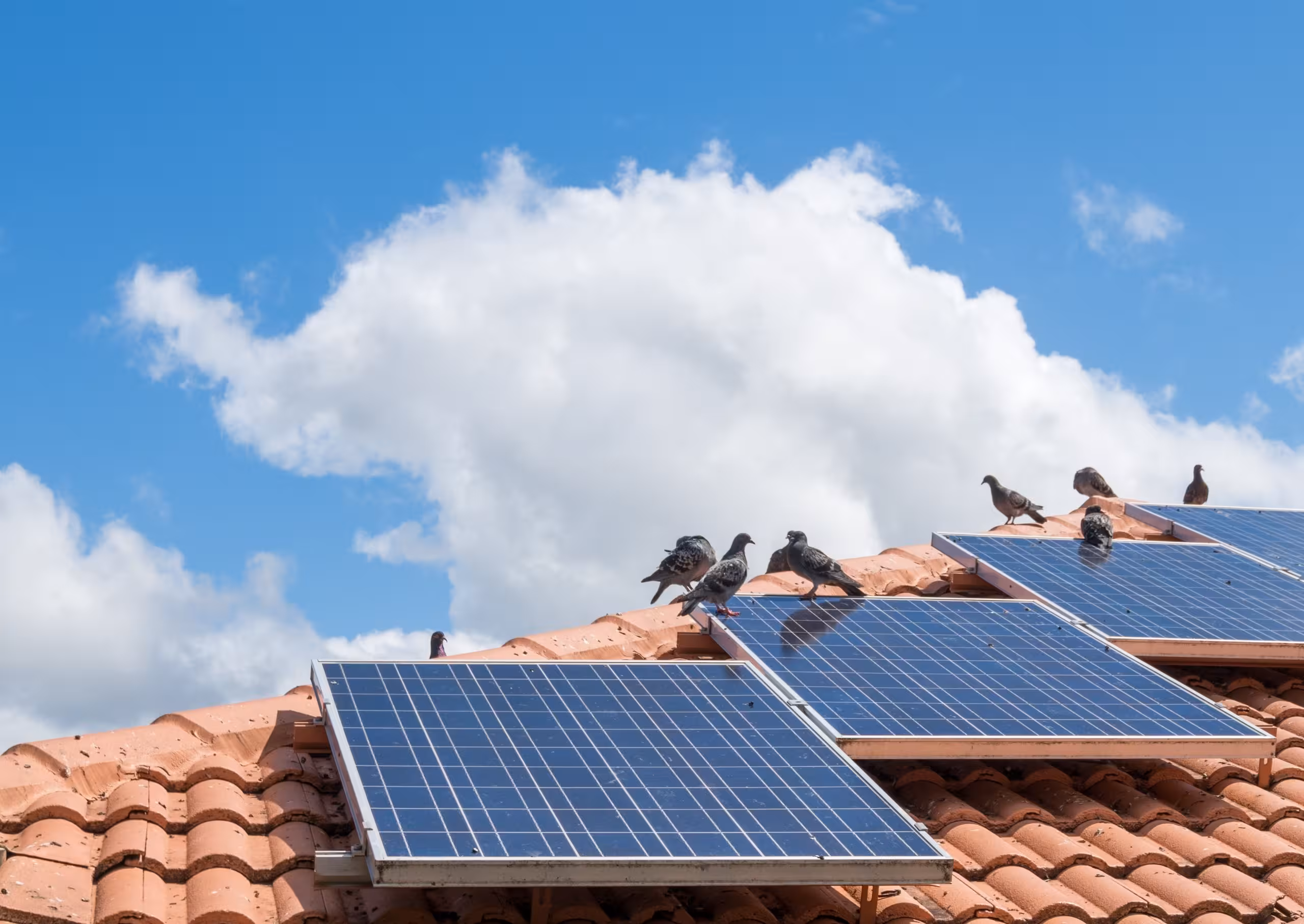 El Govern reactiva el acceso a ayudas para el autoconsumo