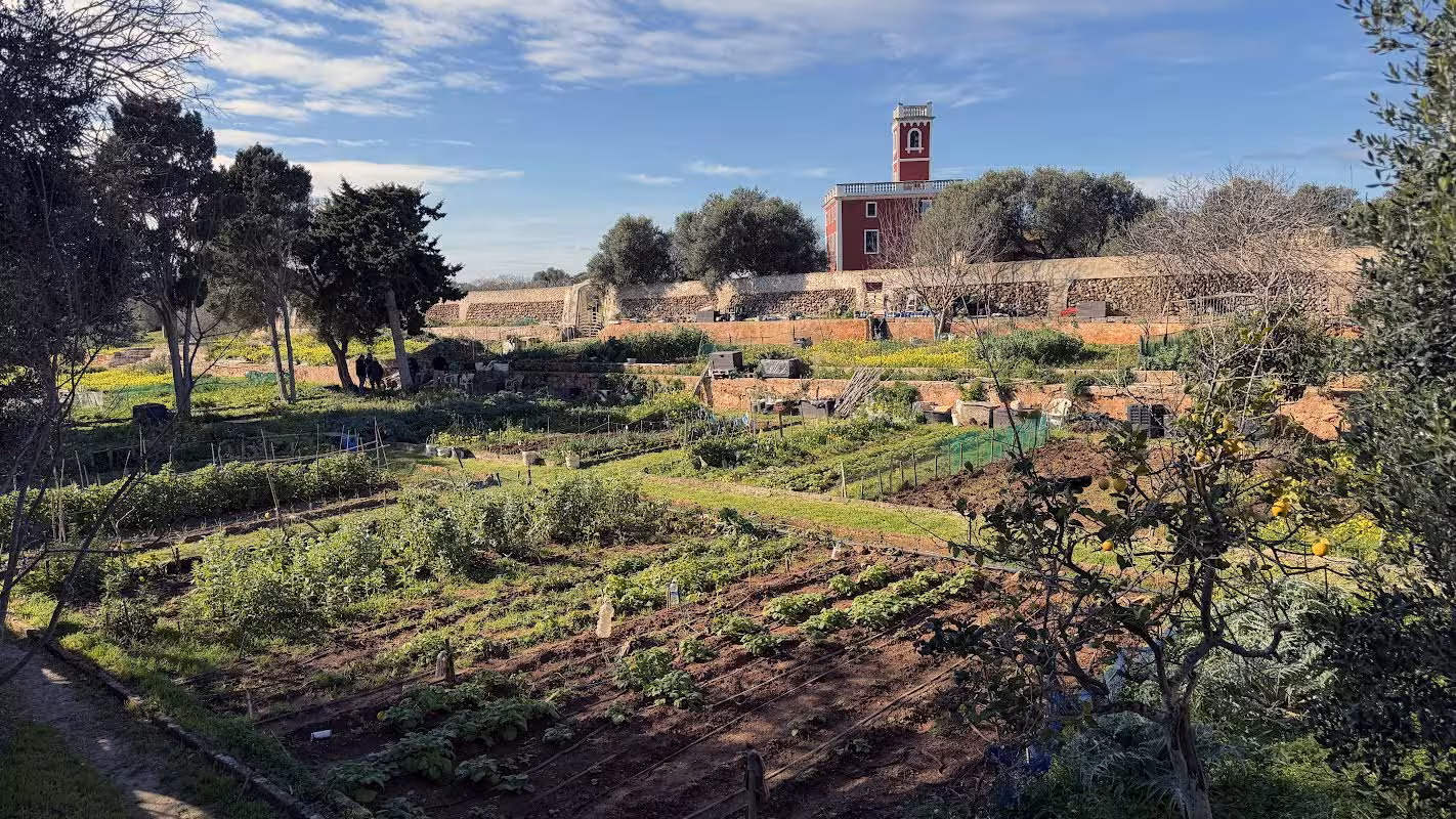 Ciutadella adjudica 13 nuevas parcelas en los huertos urbanos de sa Vinyeta
