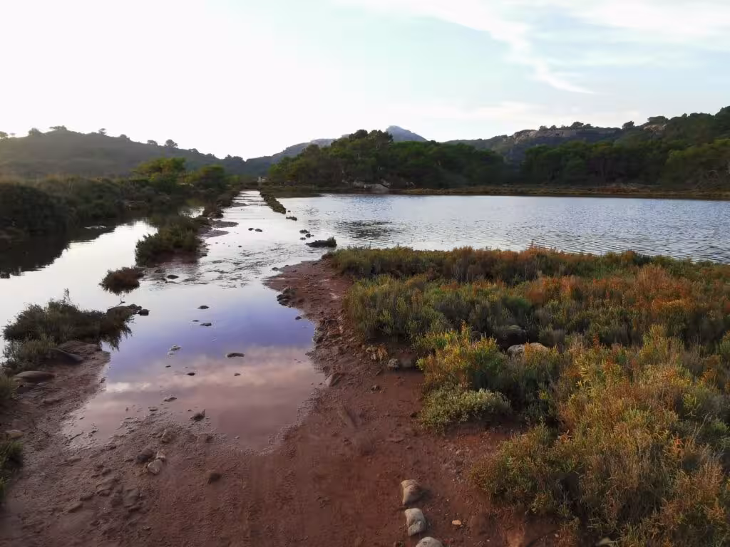 El GOB vuelve a pedir desviar el Camí de Cavalls en Addaia