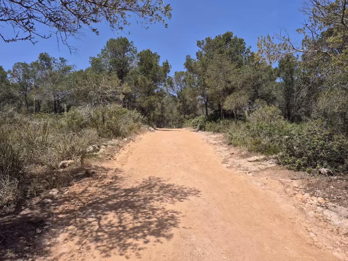 (Fotos) Mejoran un tramo del Camí de Cavalls en Macarelleta para facilitar el acceso de emergencias