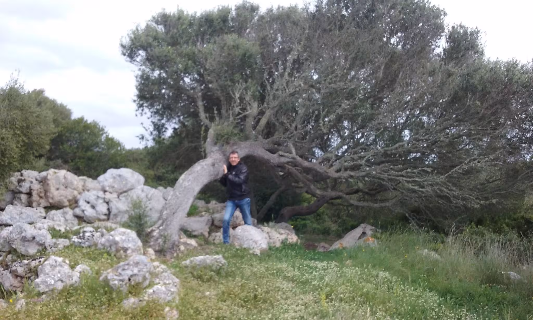 "El porc de Kant. Els arbres de Geòrgia"