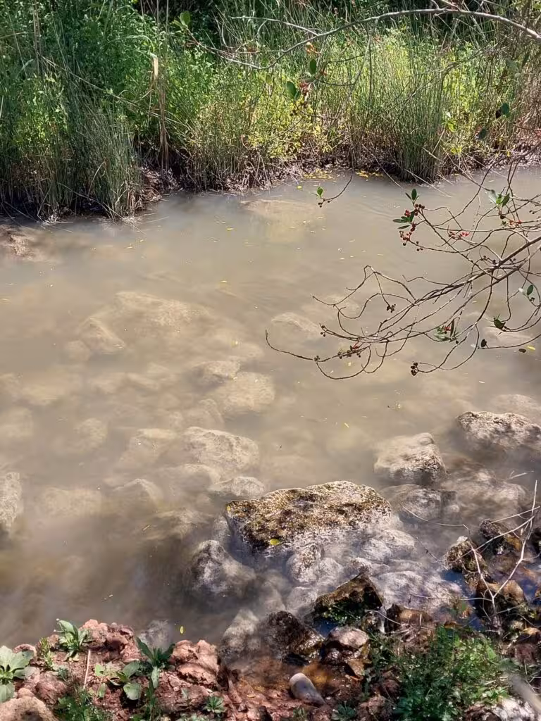 El GOB denuncia vertidos reiterados en el torrente de Cala Galdana y exige localizar su origen