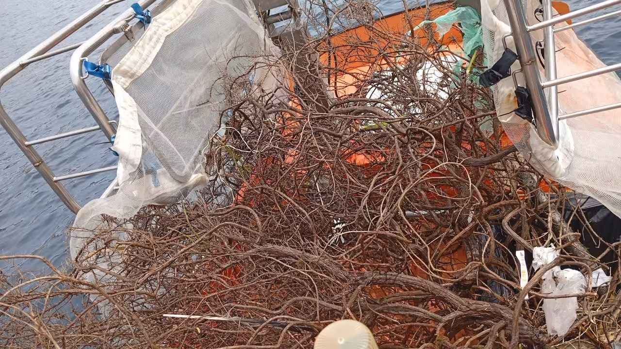 Más de una tonelada de residuos retirados del mar de Menorca en junio: los plásticos ya suponen la mitad de la basura recogida