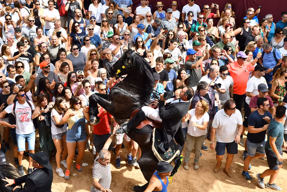 Maó refuerza los puntos de agua para garantizar el bienestar de los caballos durante las fiestas de Gràcia