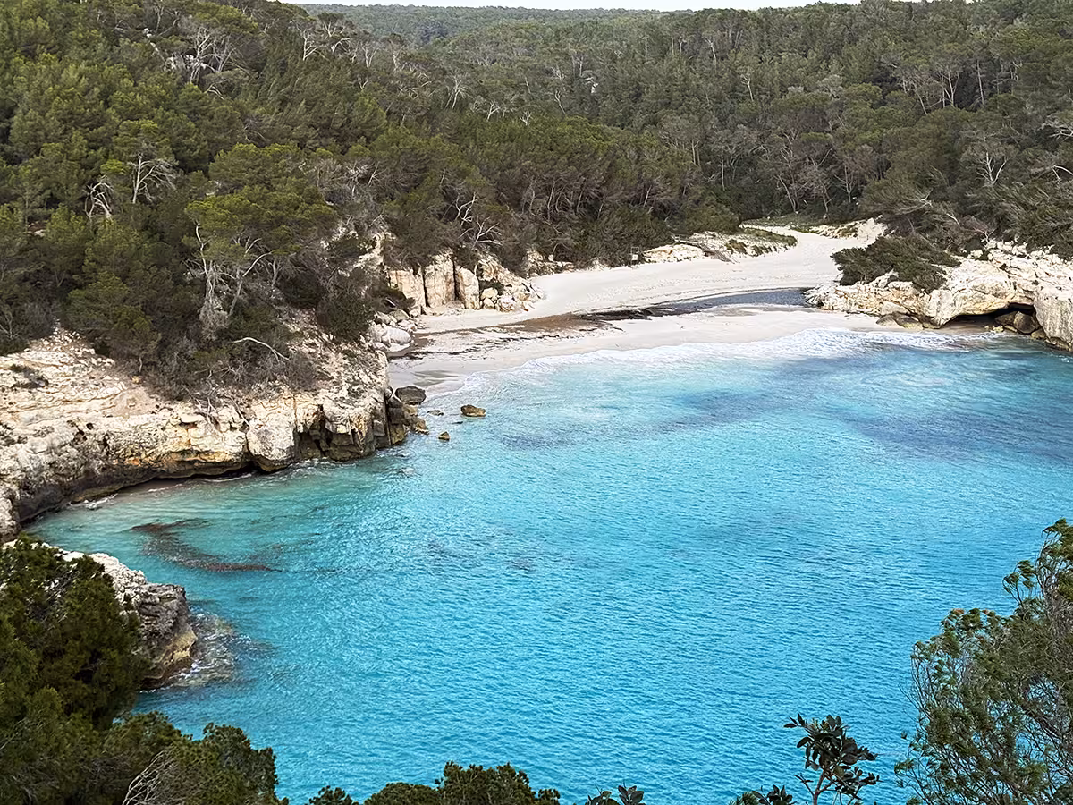 Entesa de Ferreries exige al gobierno del PP que refuerce la limpieza en Cala Mitjana ante la acumulación de basura