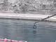 (Vídeo) Continúa la polémica por el vertido de grandes piedras en Cala Corb