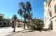 (Fotos) El fuerte viento derriba un árbol junto a la iglesia de Sant Climent