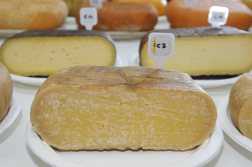 El queso Mahón-Menorca se alza con nueve medallas en los World Cheese Awards
