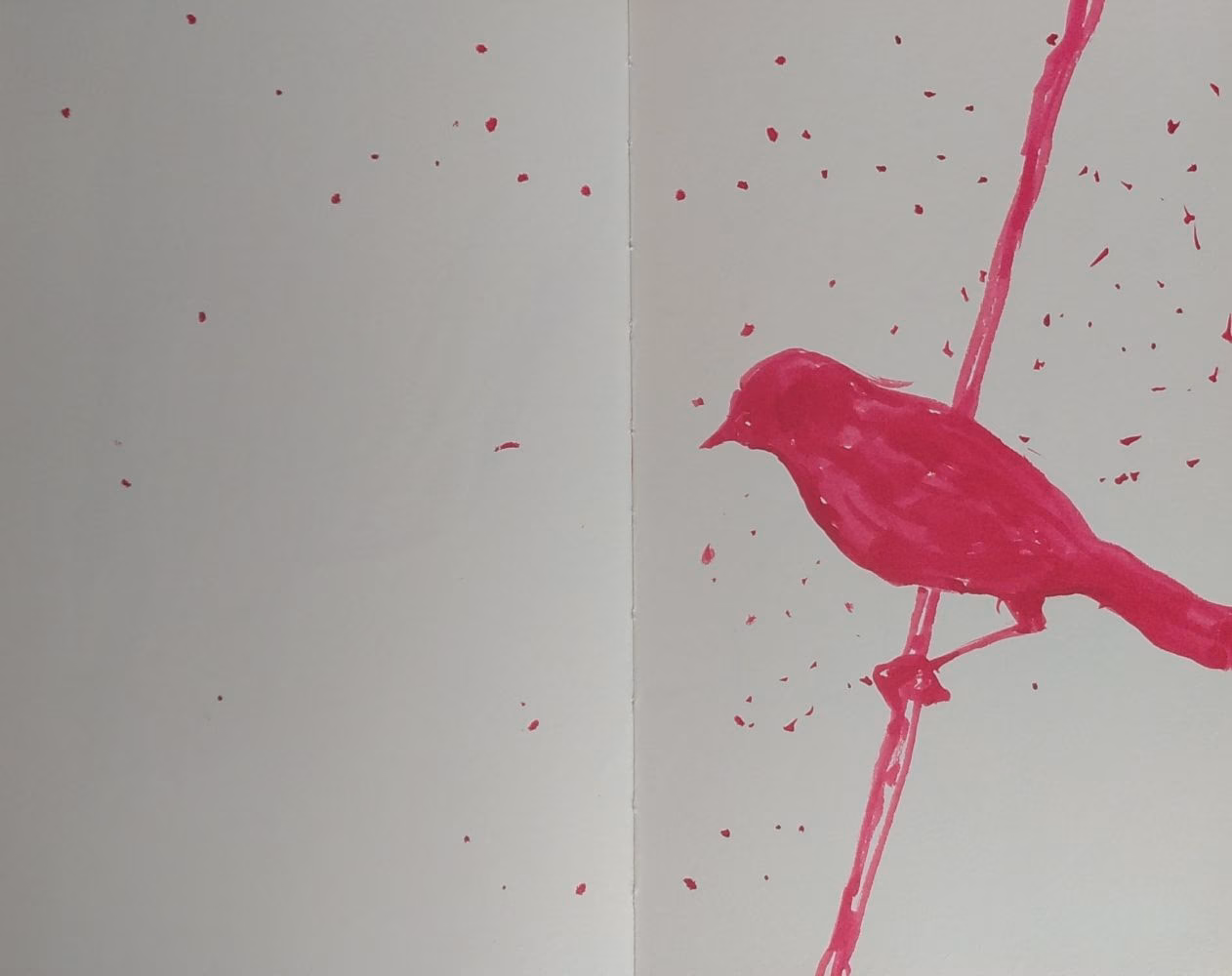 Els ocells tenen memòria de la bondat