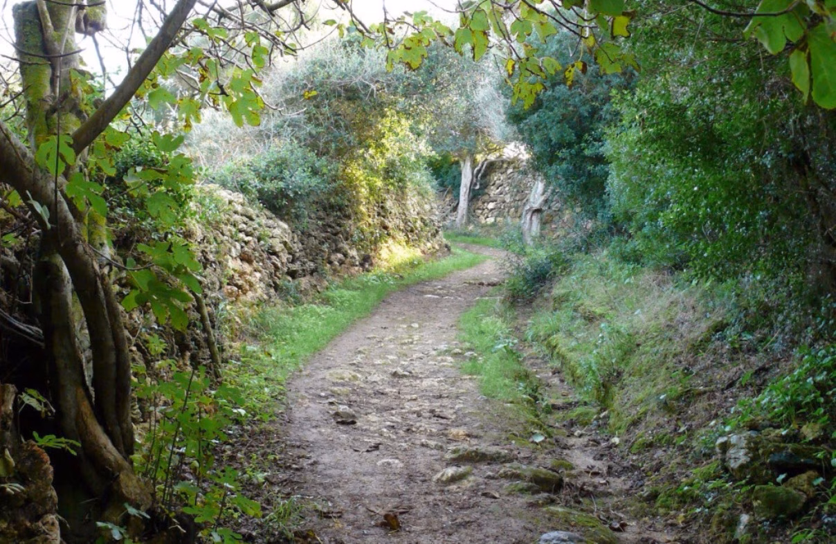 Aprobación definitiva del Catálogo municipal de Caminos de Ferreries