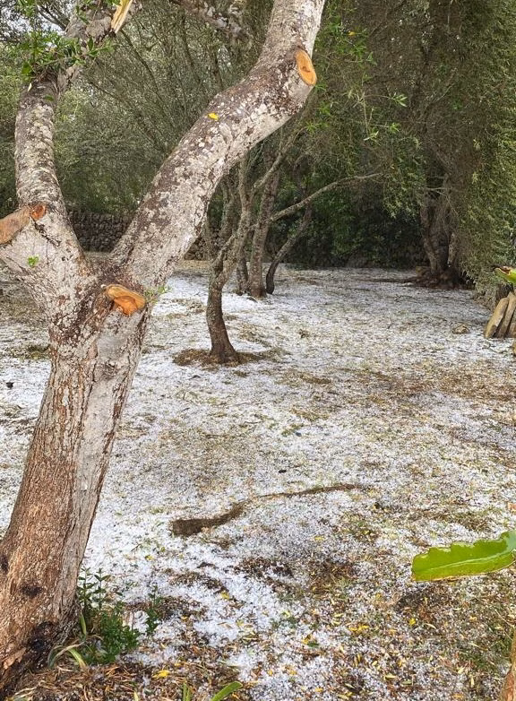 (Fotos) Caen en Ciutadella 22,2 l/m2 de lluvia y 6,1 en Alaior con granizo