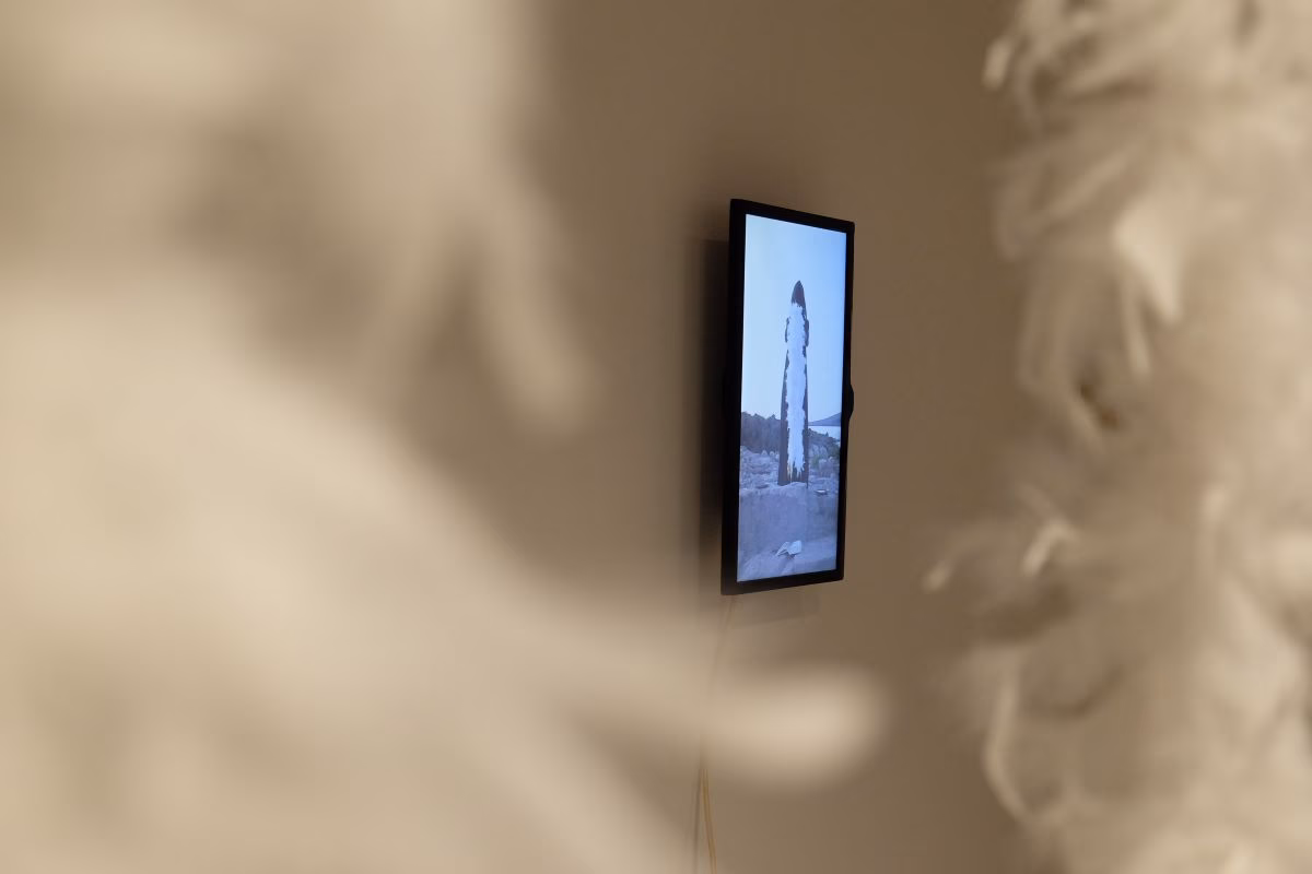 Una propuesta nueva de Mites# llega a El Roser de Ciutadella