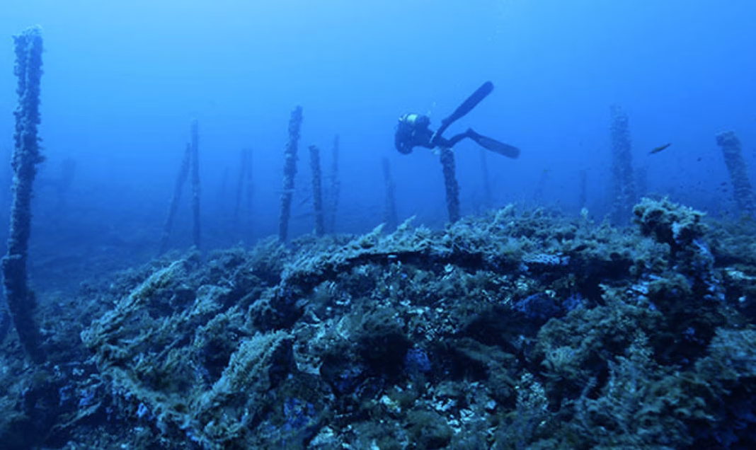 Un tesoro bajo el mar de Menorca