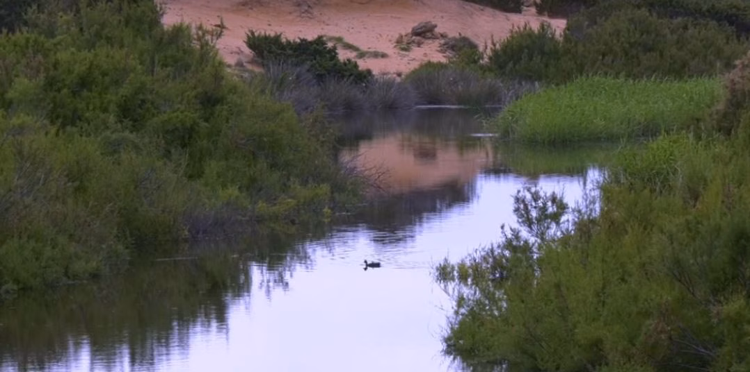 Cinco proyectos consiguen las becas de la Agencia Menorca Reserva de Biosfera