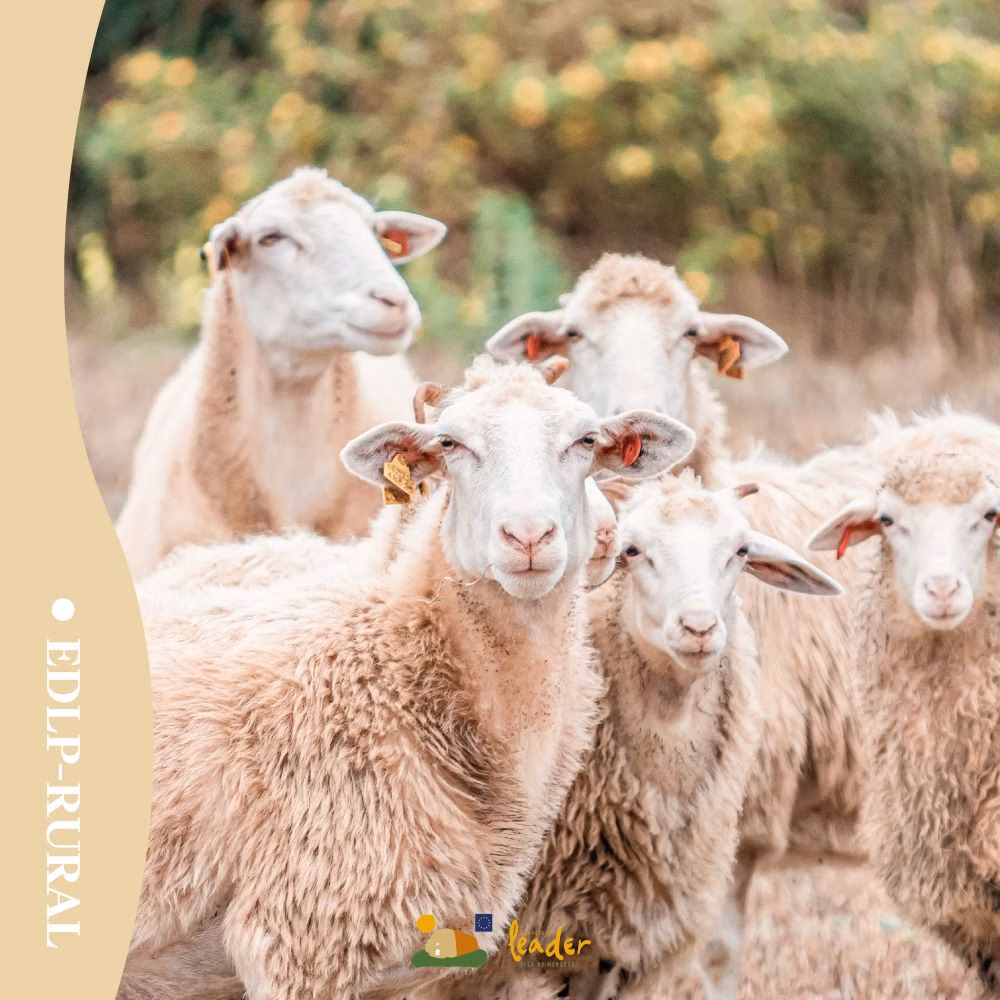 En marcha la nueva Estrategia de Desarrollo Local Participativo Rural de Menorca