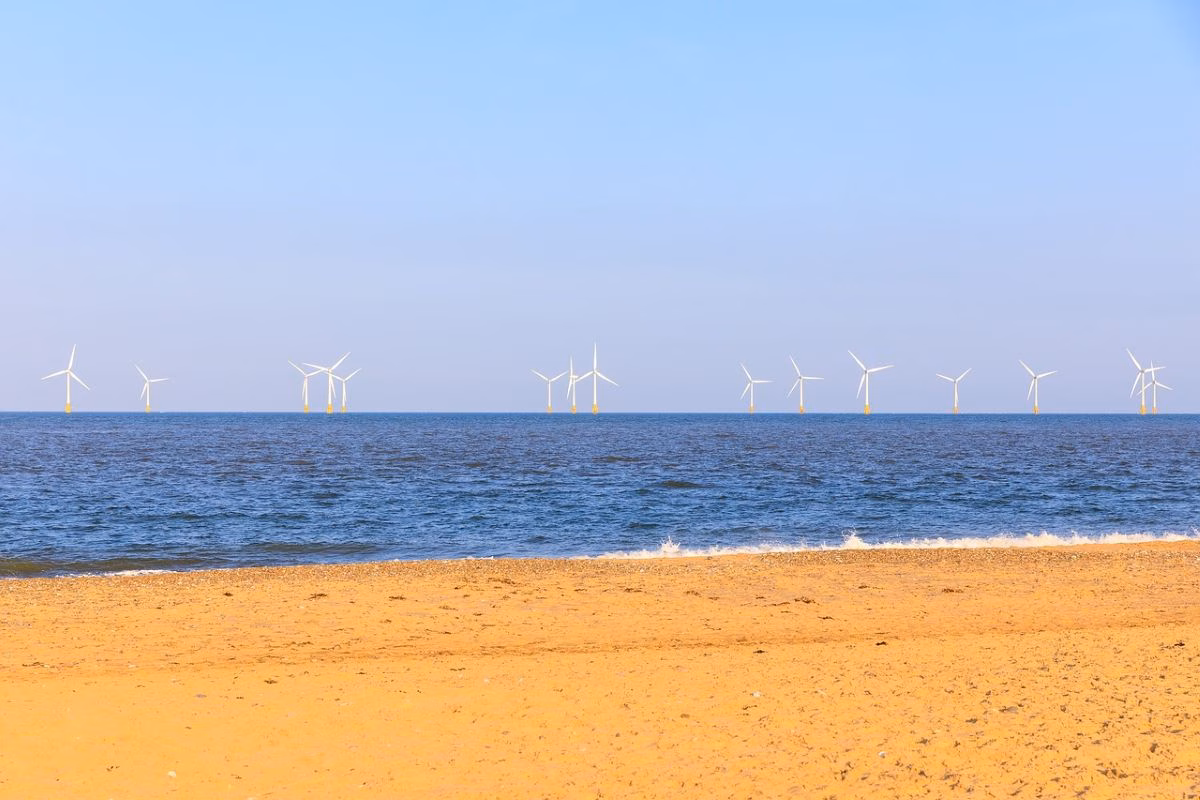 Cs Menorca pide detalles del impacto medioambiental de los parques eólicos marinos