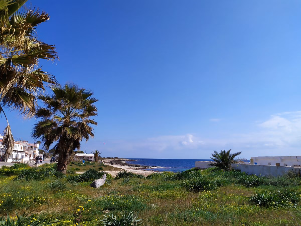 En marcha el servicio de bus entre Maó y Punta Prima ante la llegada de turistas del IMSERSO