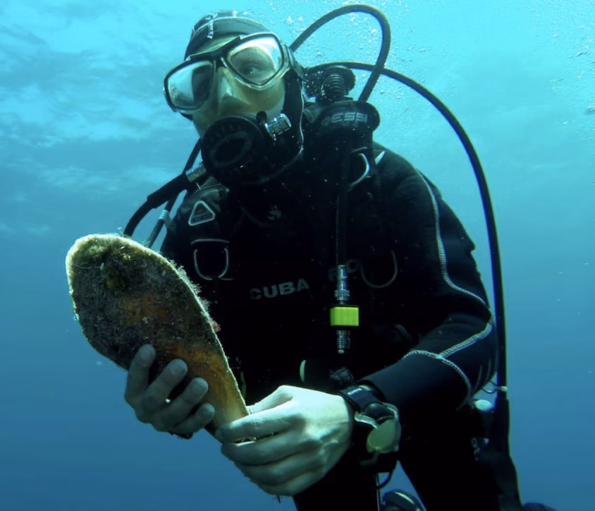 La nacra menorquina de la esperanza
