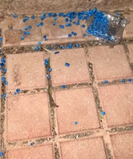 La Protectora d’Animals alerta sobre la presencia de veneno en Ferreries