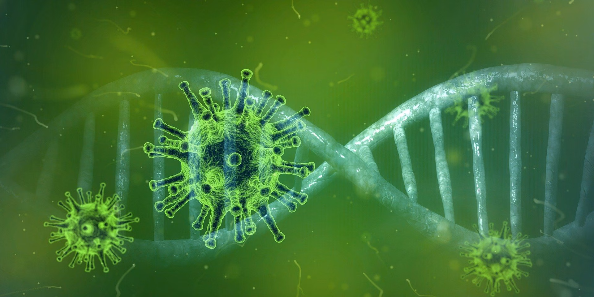 Los anticuerpos contra el coronavirus persisten 2 años después de sufrir la enfermedad