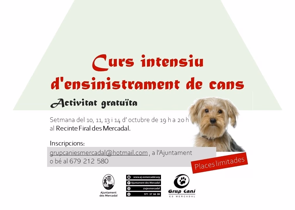 Es Mercadal organiza un curso de adiestramiento animal