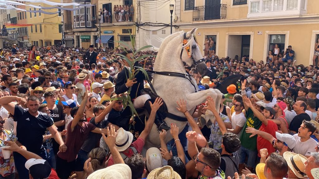 (Vídeo y fotos) Multitudinaria entrega de cañas verdes en Maó