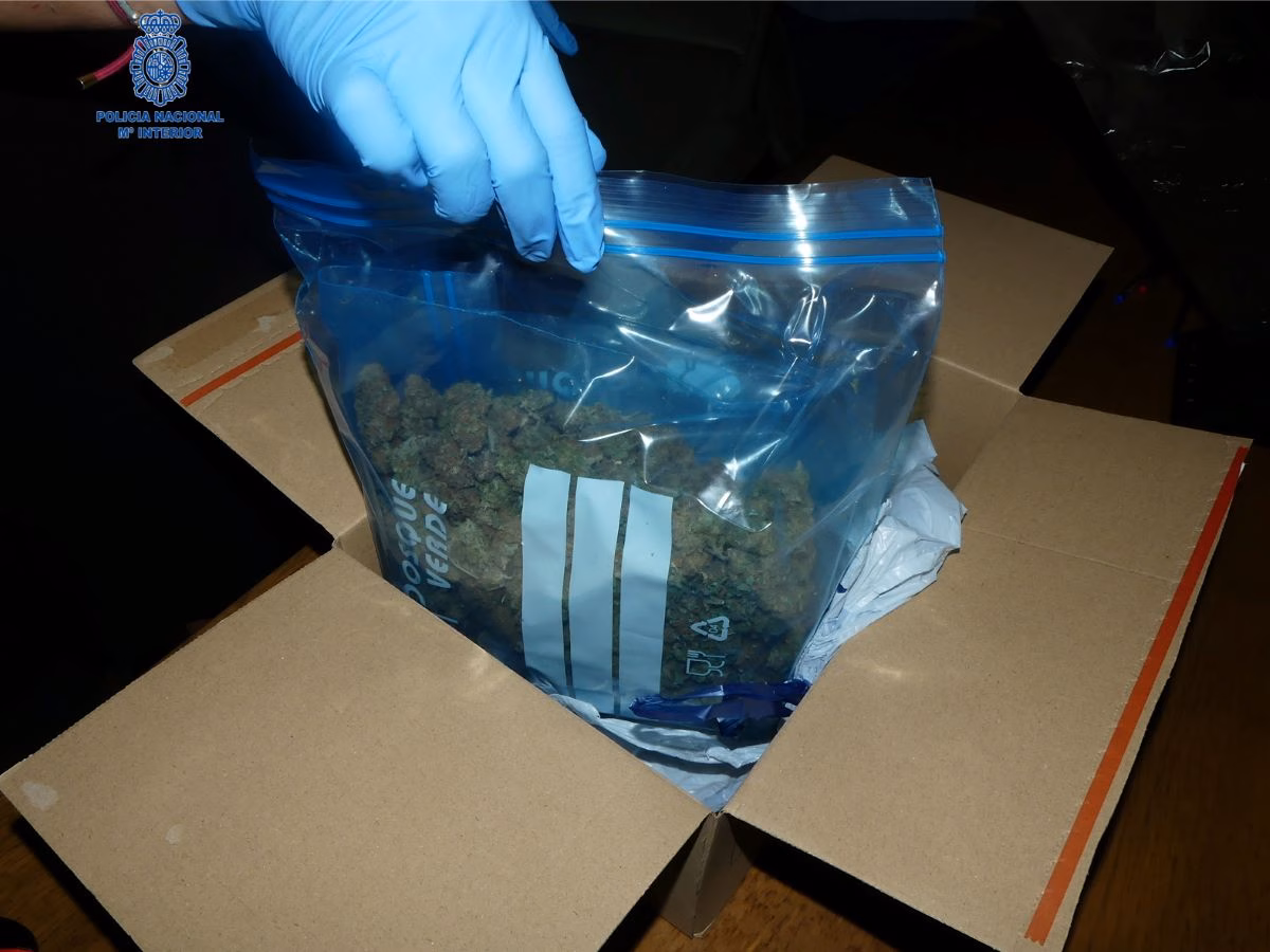 Detenido un hombre en Ciutadella que recibía paquetes de droga a través de Correos