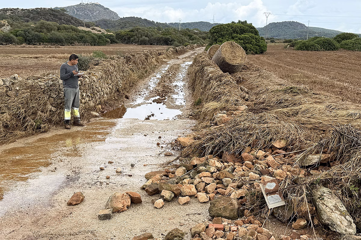 Menorca aprueba casi 2 millones en ayudas a las fincas agrarias afectadas por la DANA
