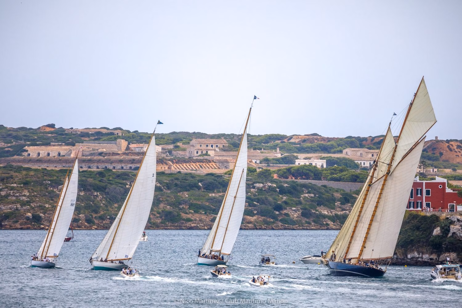 Scud, Viveka, Fjord, Argos y Legolas primeros líderes
