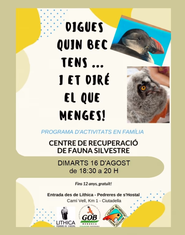 El GOB organiza un taller familiar sobre las aves de Menorca