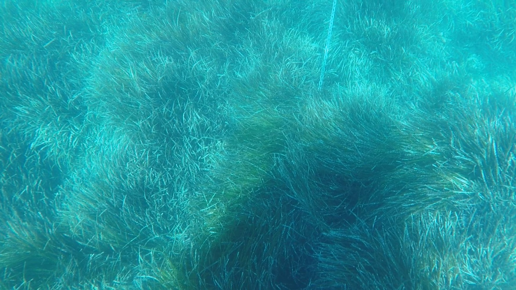 Reclaman al Govern una mayor acción contra los fondeos ilegales en Menorca