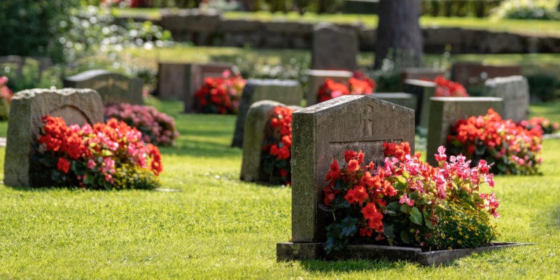 Sobre la vida y la muerte