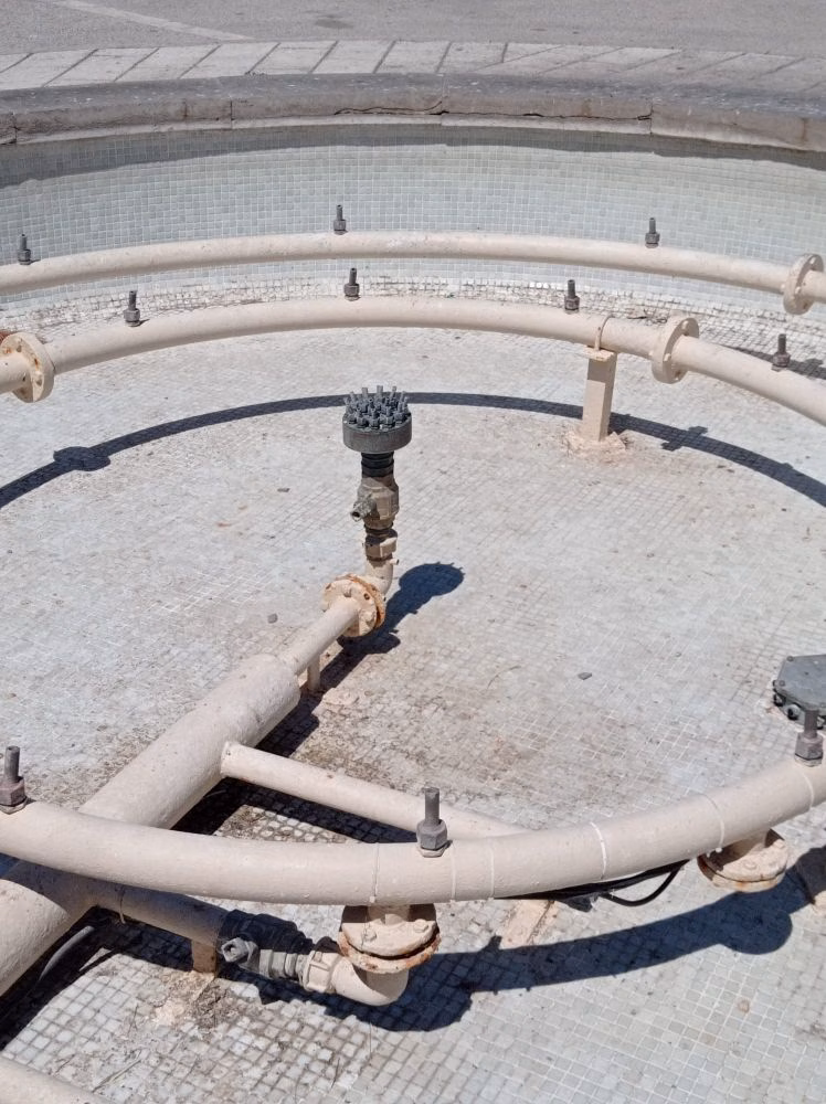 (Fotos) Piden agua para los pájaros que viven en la Esplanada de Maó