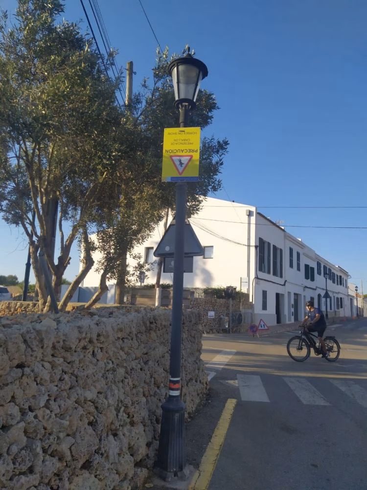 (La foto) Precaución, los caballos pasean boca abajo por Llucmaçanes