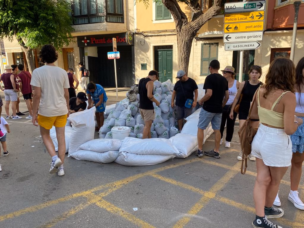 (La foto) Todo a punto para las avellanas