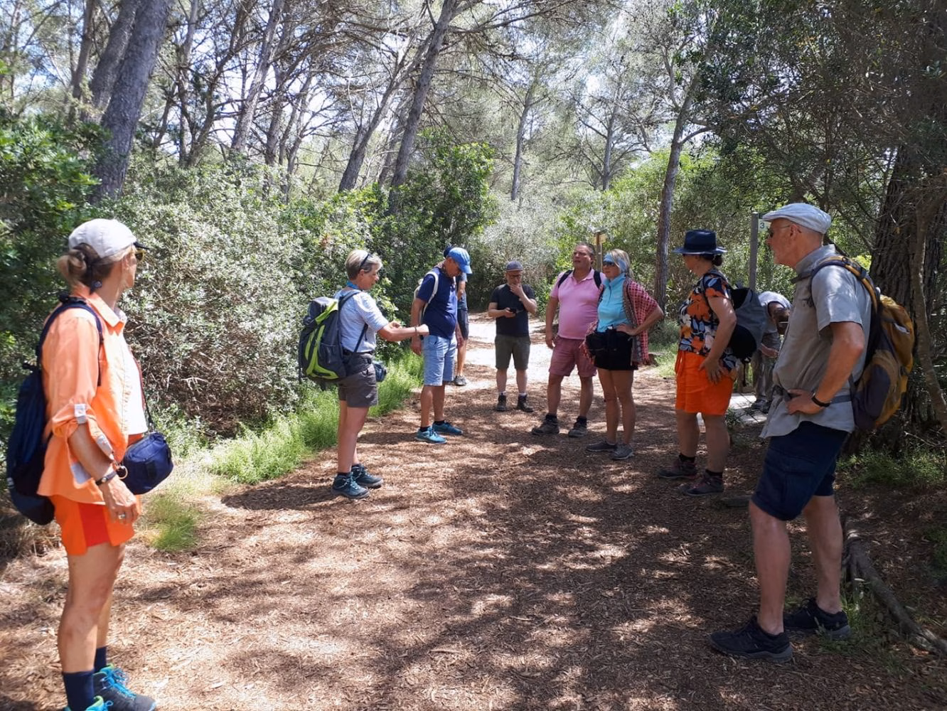 En busca del turismo alemán