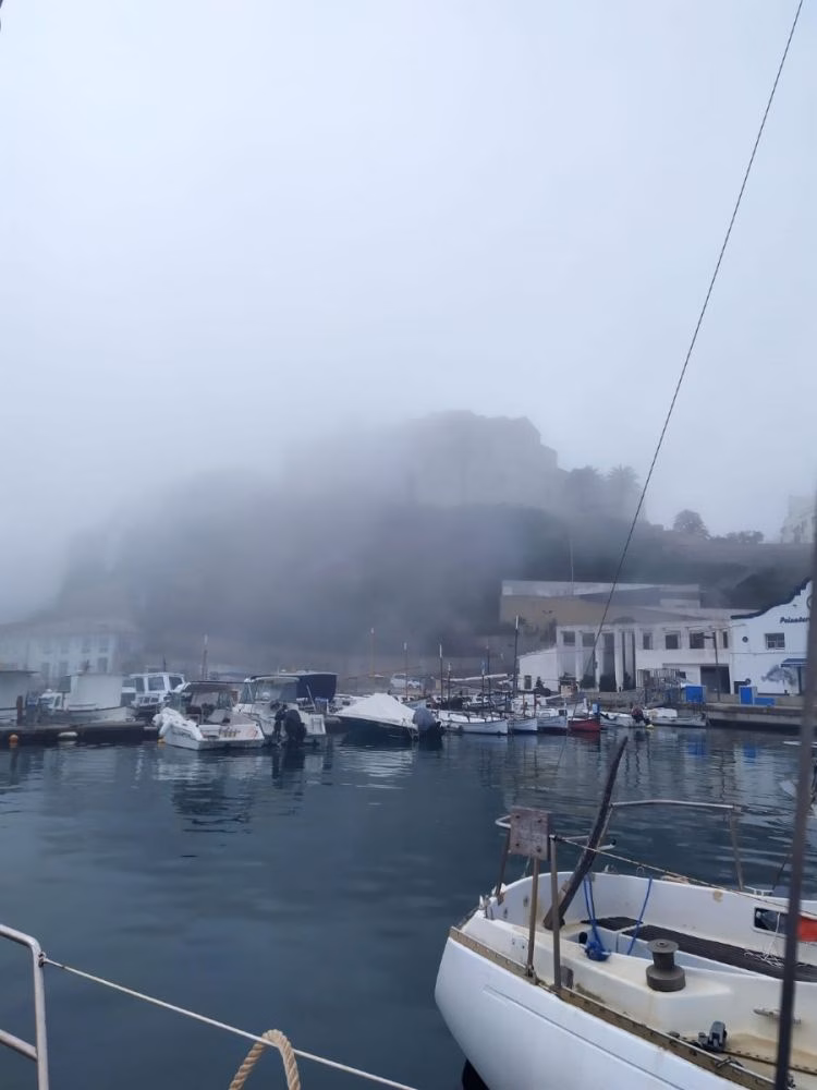 (Fotos) La niebla en el puerto de Maó