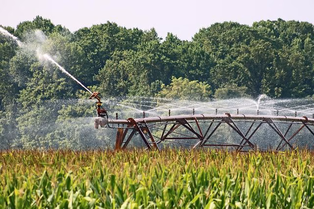 Estado de los recursos hídricos de Menorca