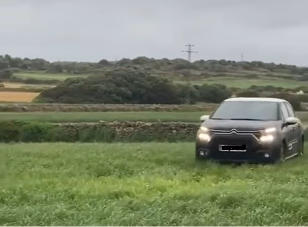 Entran en una 'tanca' en Ciutadella, arrasan con el pasto y casi atropellan al dueño