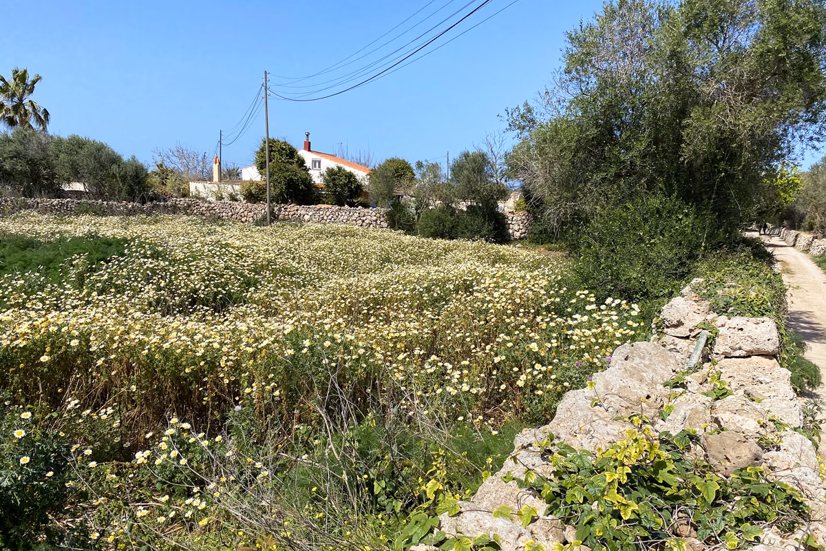 La Semana Santa arranca con sol