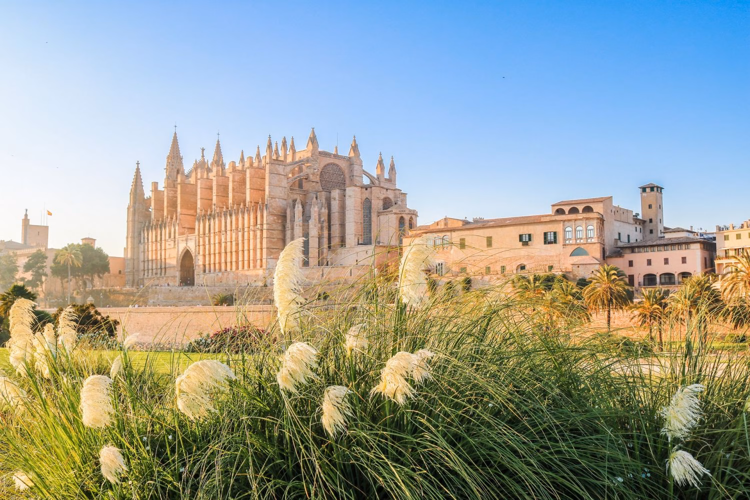 En el día de Balears