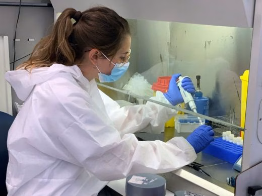 Menorca es la isla balear con mayor incidencia acumulada de la Covid-19