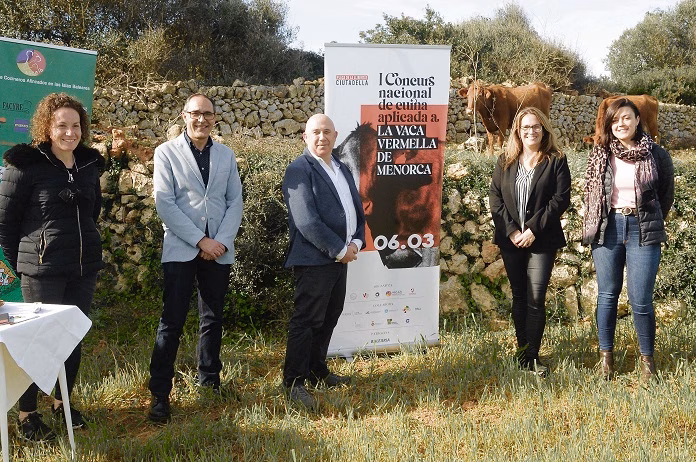 Una "vaca vermella" de concurso