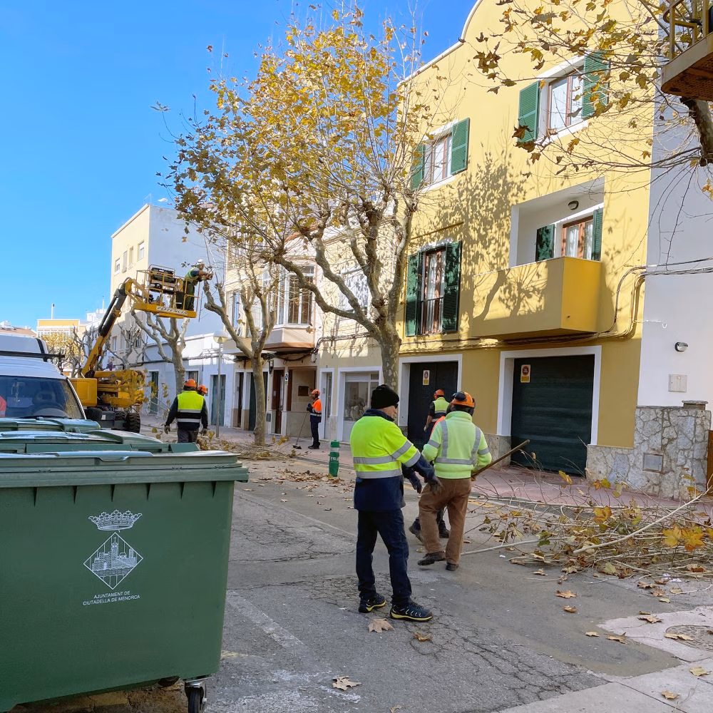 Primera fase de la campaña 2022 de poda de árboles y palmeras de Ciutadella