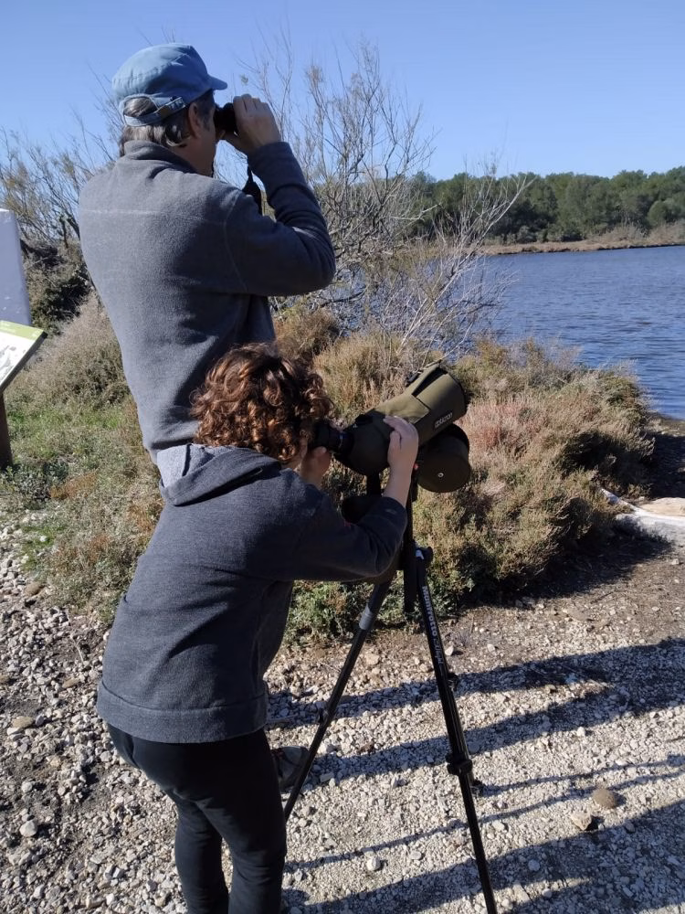 (Fotos) Pájaros a la vista en la Albufera des Grau