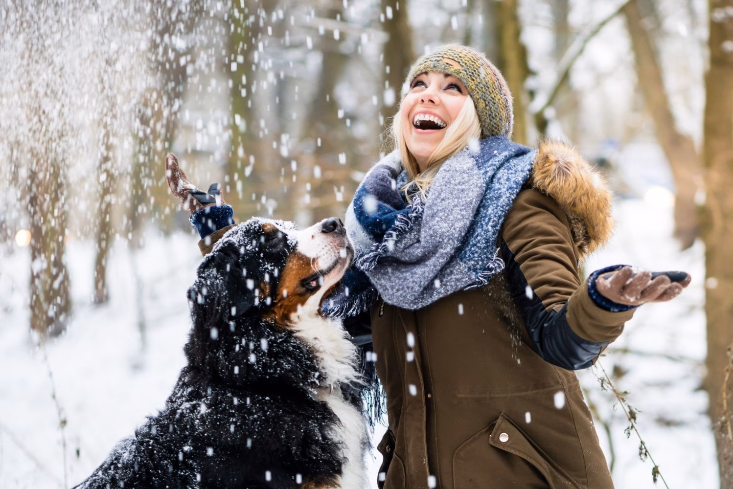 Consejos para cuidar a un perro en invierno