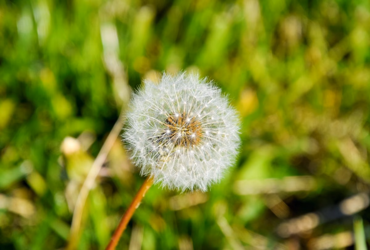 Impulso a la demanda de tecnologías de cero emisiones