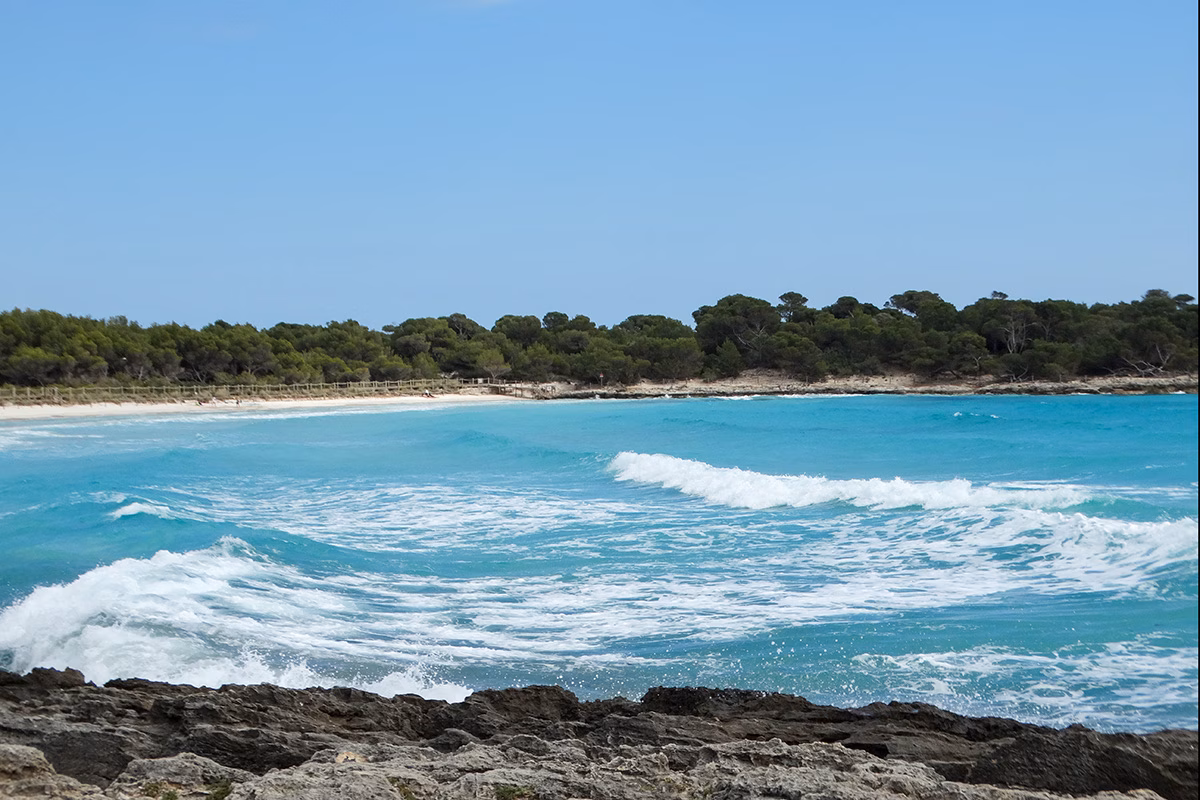 El Consell quiere más dinero de Madrid para invertir en Costas